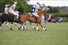 UKPA NC SAT_2919